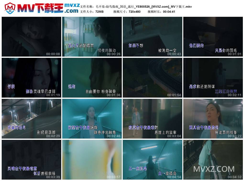 毛不易-幼鸟指南_国语_流行_YE800526
